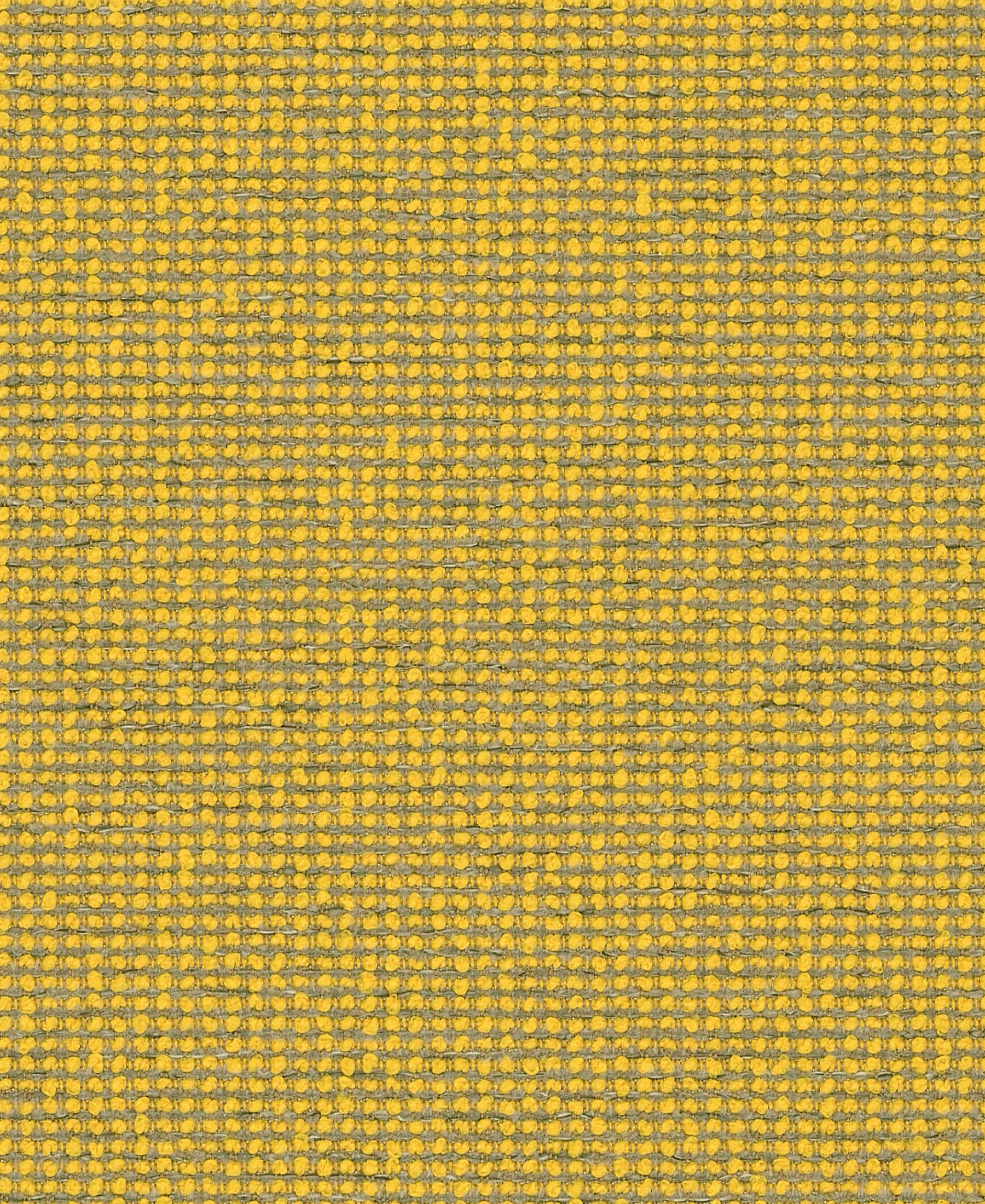 CANARY